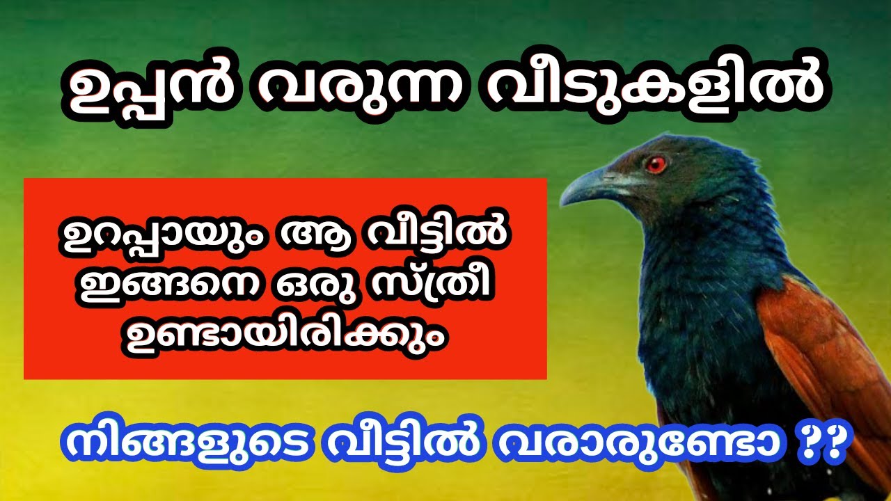 ഉപ്പൻ വരുന്ന വീടുകളിൽ ഉറപ്പായും ആ വീട്ടിൽ ഇങ്ങനെ ഒരു സ്ത്രീ ഉണ്ടായിരിക്കും..uppen