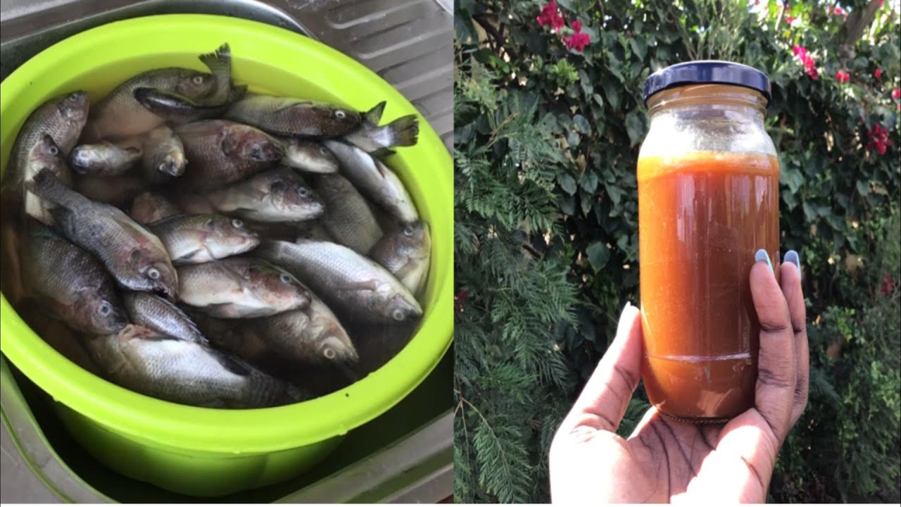 Unveiling the Magic of Fish Hydrolysate! Liquid Gold for Your Plants.