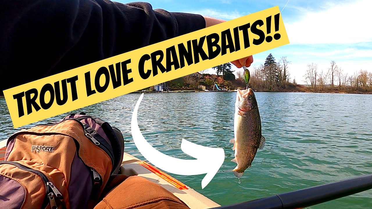 TROUT LOVE CRANKBAITS!?!? (Catch and Cook)