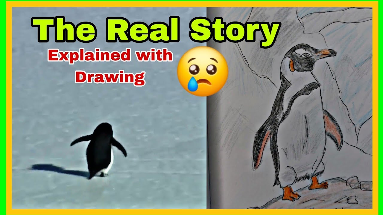 The Real Story Behind the Viral 'Depressed Penguin' – Explained with My Drawing! 🐧💔