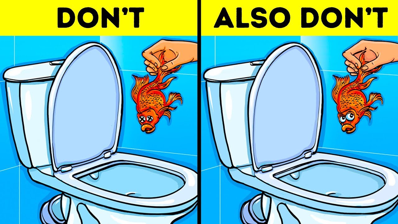 12 Things You Should Never Flush Down the Toilet