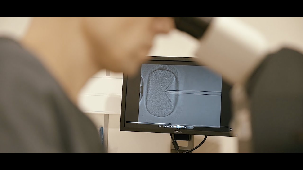 Girexx | Don d'ovocytes