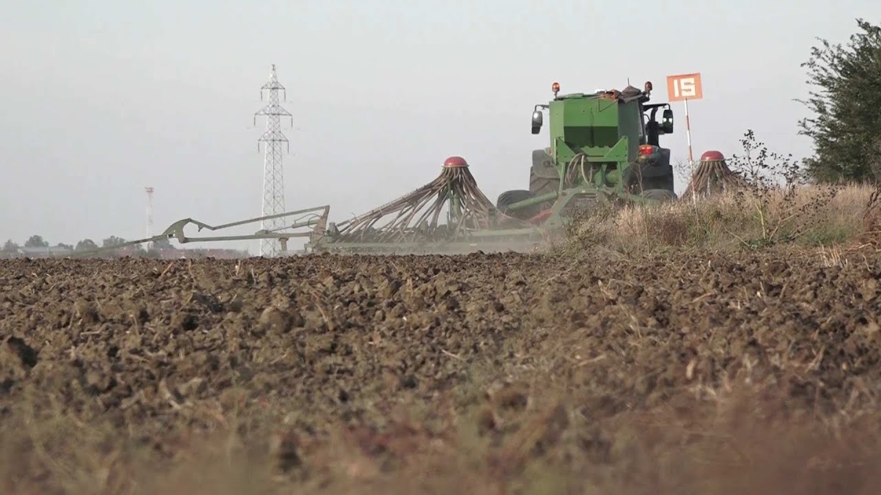 Zbog su&scaron;e setva p&scaron;enice krajem oktobra