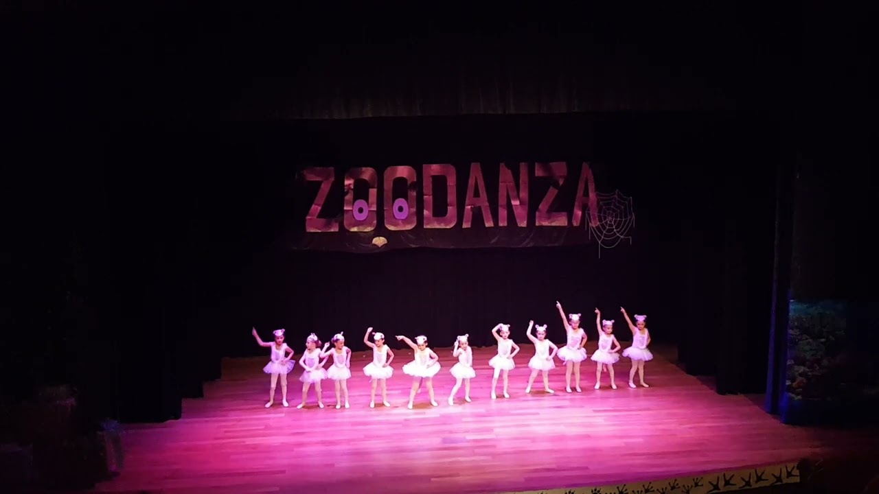 Zoodanza - La pantera rosa