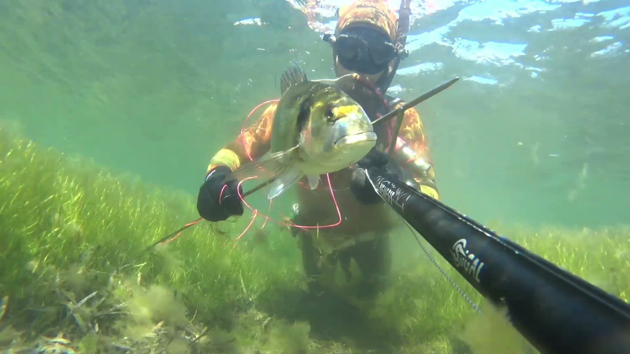 Pesca Sub: catture primaverili nel bassofondo con nemesis 82