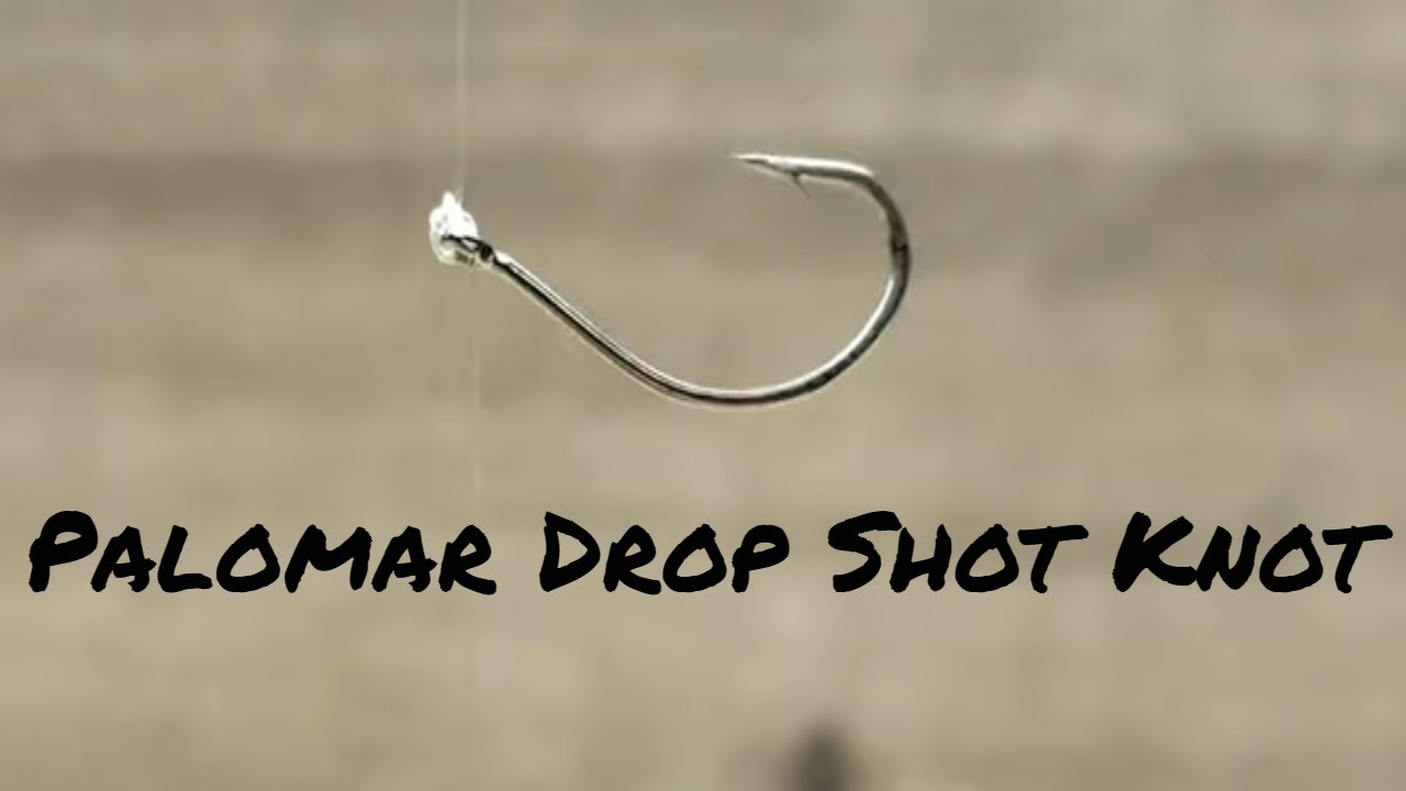 How to Tie Fishing Knot: Drop Shot Knot - Palomar