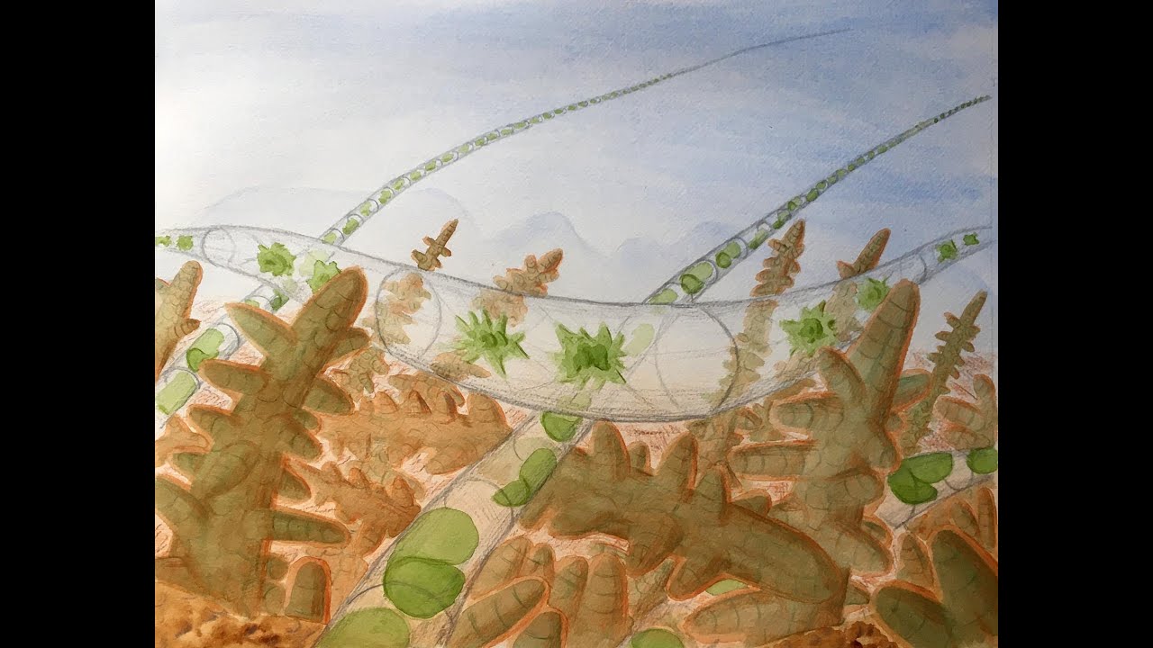 The Hidden World of Fresh Water Algae