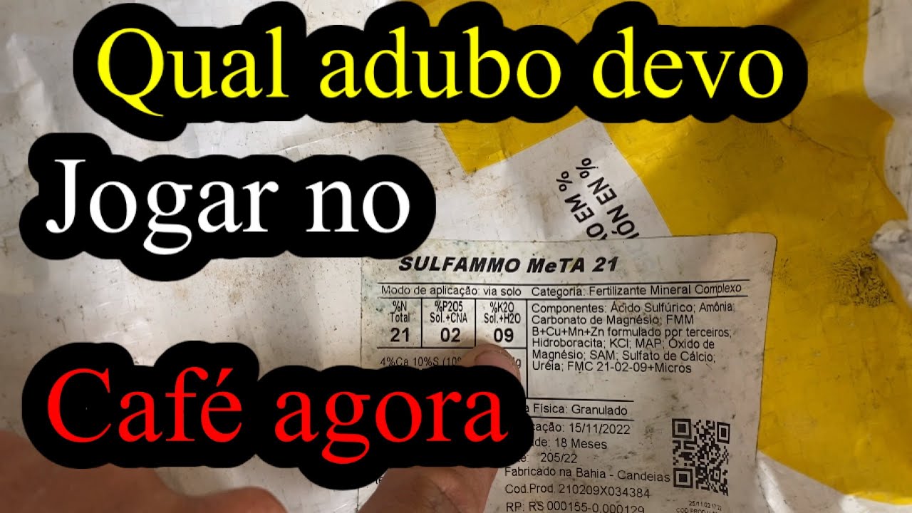Adubação em cafe || Qual aduno debo jogar agora