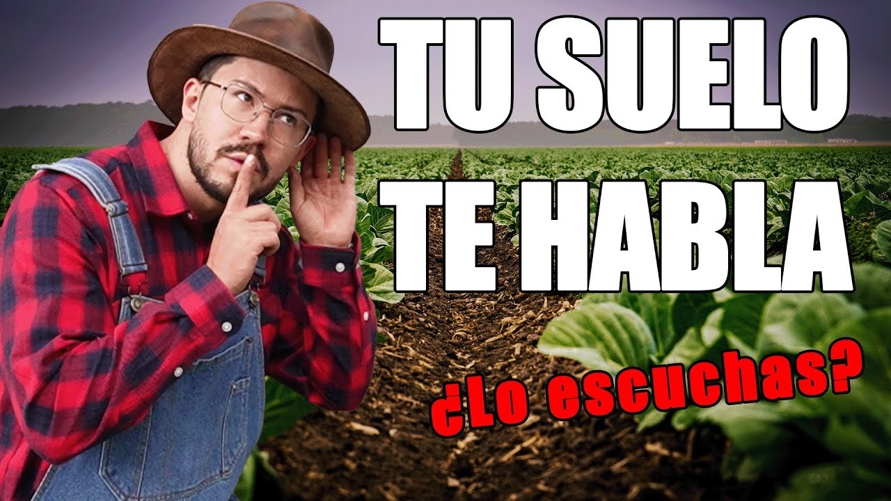 El IDIOMA SECRETO del SUELO de tu HUERTA: Las SEÑALES que te MUESTRA