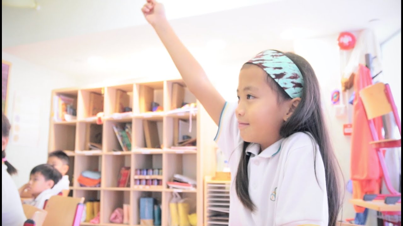 Overview of Island Waldorf School 香島華德福學校簡介