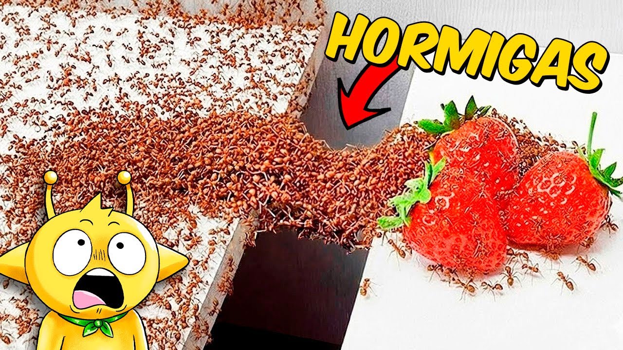 Reaccionando a 1000 HORMIGAS vs OBSTÁCULOS IMPOSIBLES!