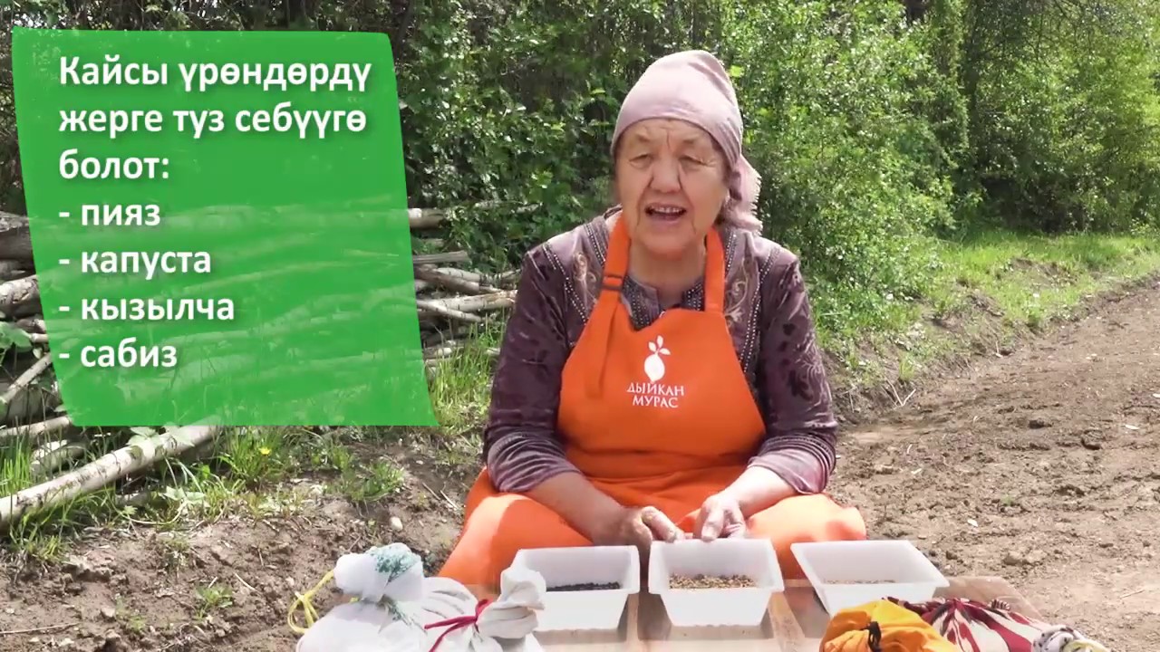 2-сабак: Жашылчалардын үрөнүн жерге түз себүү