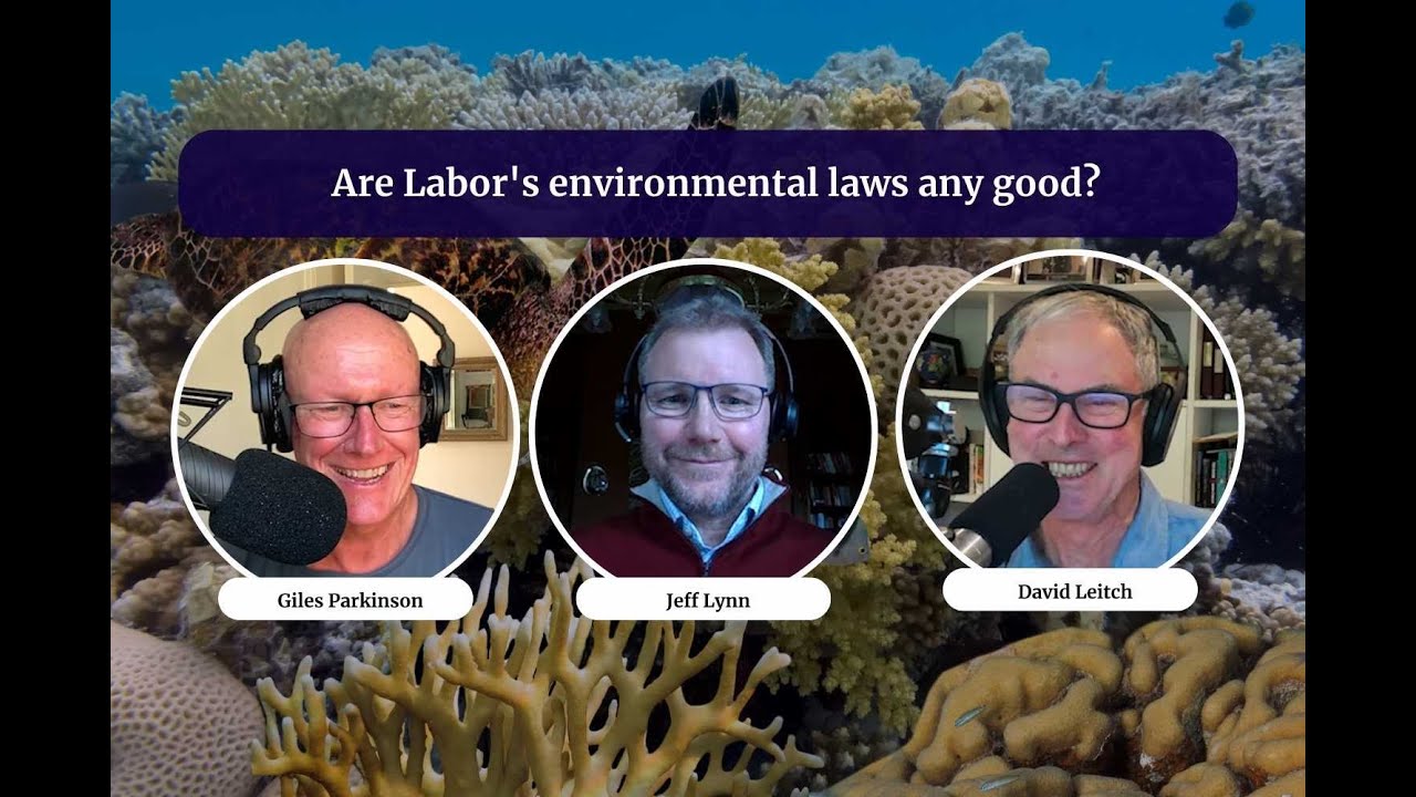 Are Labor's environmental laws any good? | Energy Insiders