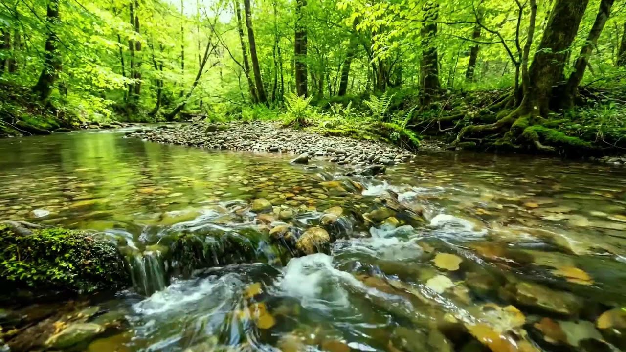 Forget Stress and Fatigue, Relax by Cool Forest Stream, Gentle Birdsong and Soothing Nature Sounds