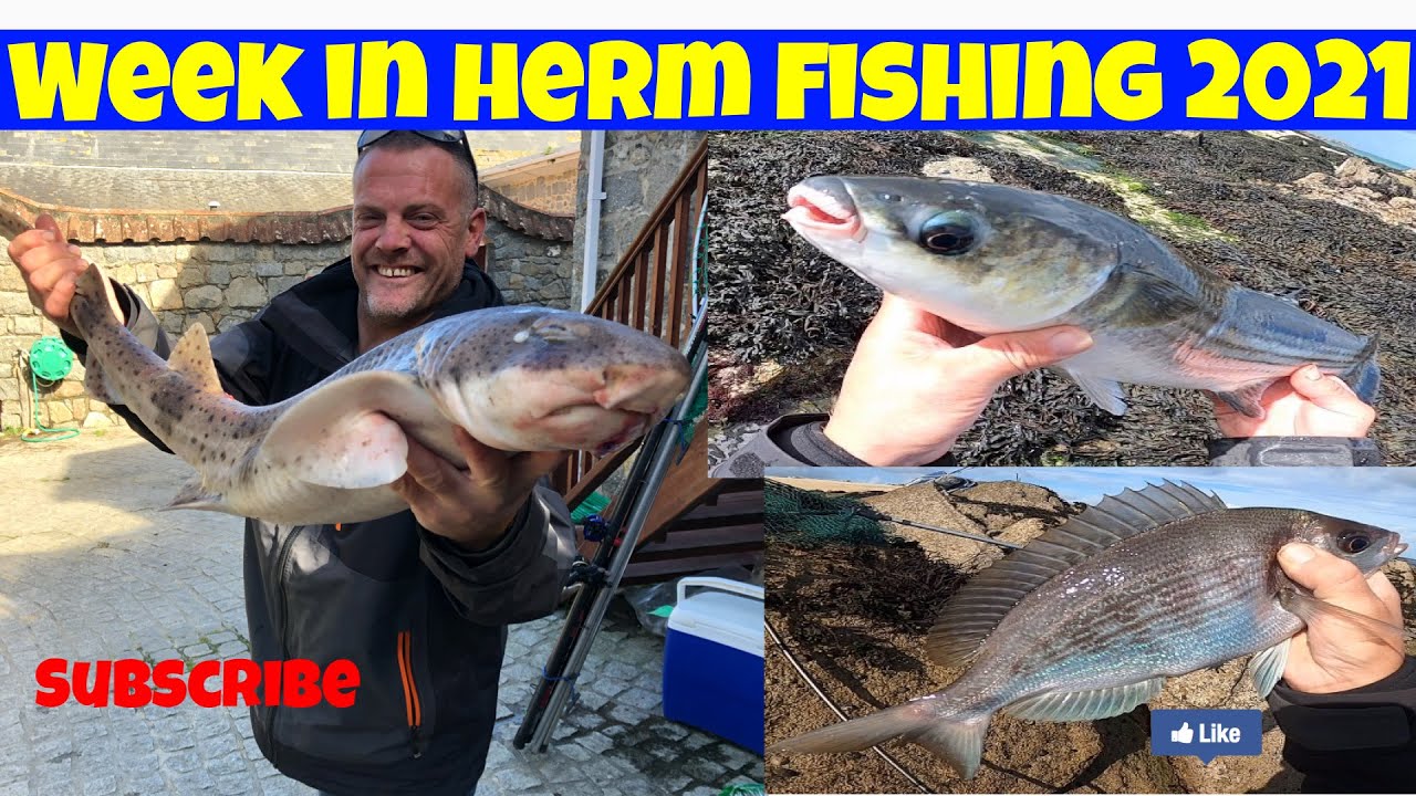 Week in Herm fishing 2021