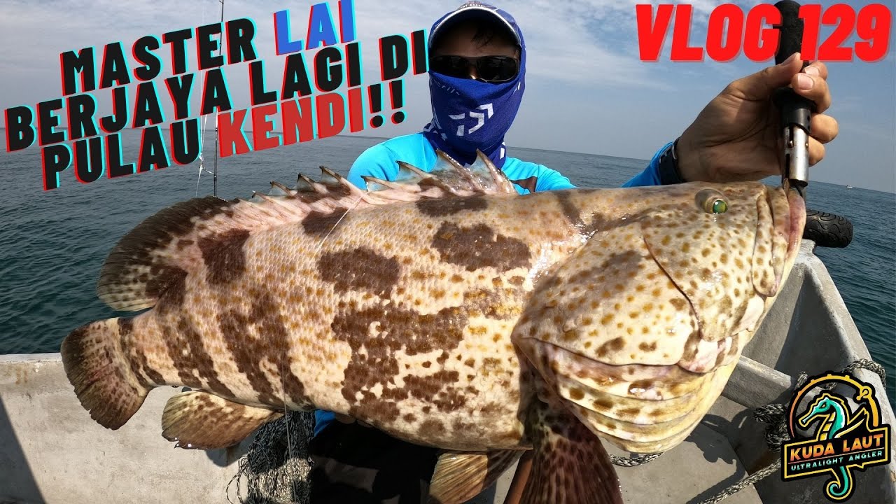 VLOG 129 | DIBULI KERAPU KERAPU MEGA PULAU KENDI | PULAU PINANG