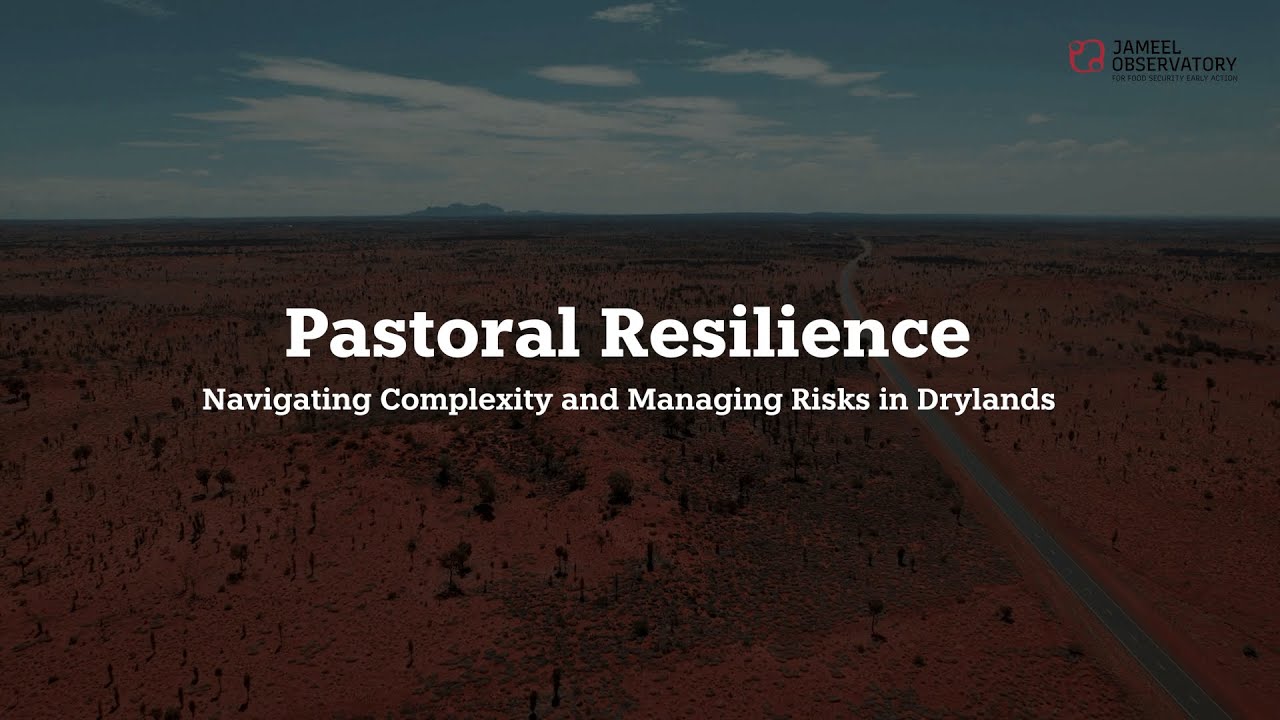 Pastoral resilience: Navigating complexity and managing risks in drylands