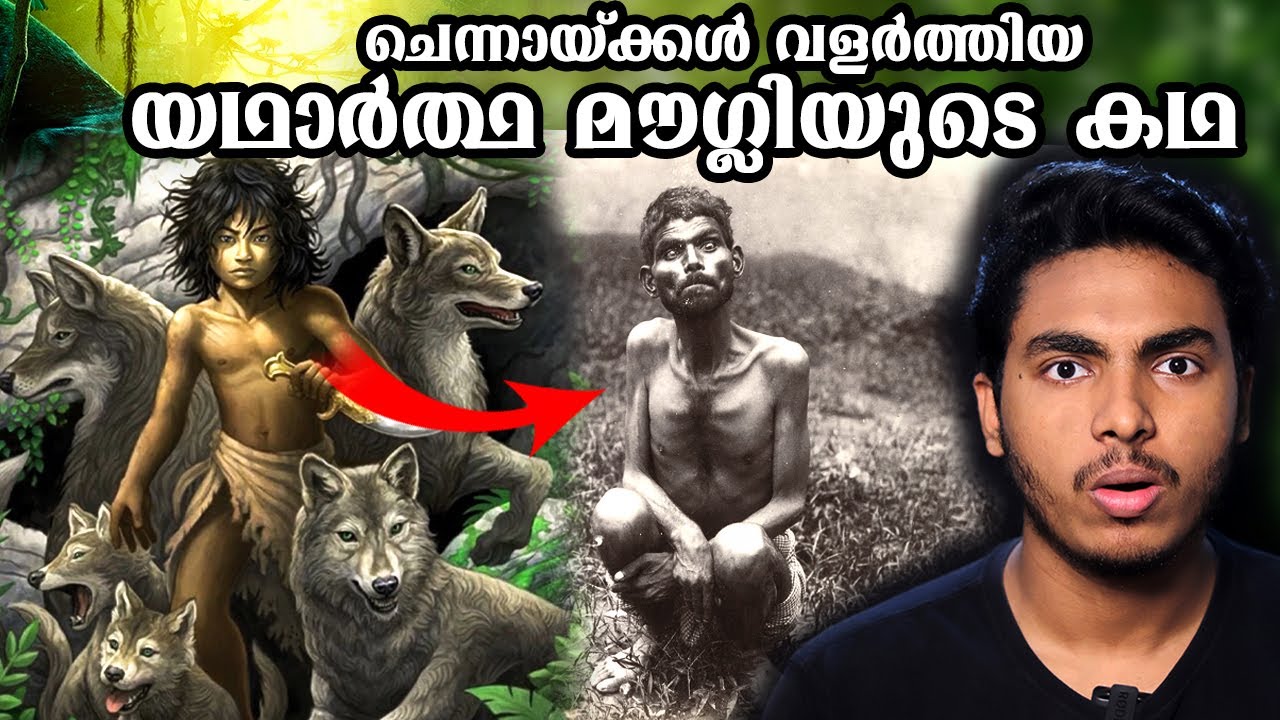 ചെന്നായകൾ വളർത്തിയ മനുഷ്യക്കുട്ടിയുടെ കഥ | MOWGLI REAL STORY | MALAYALAM | AFWORLD