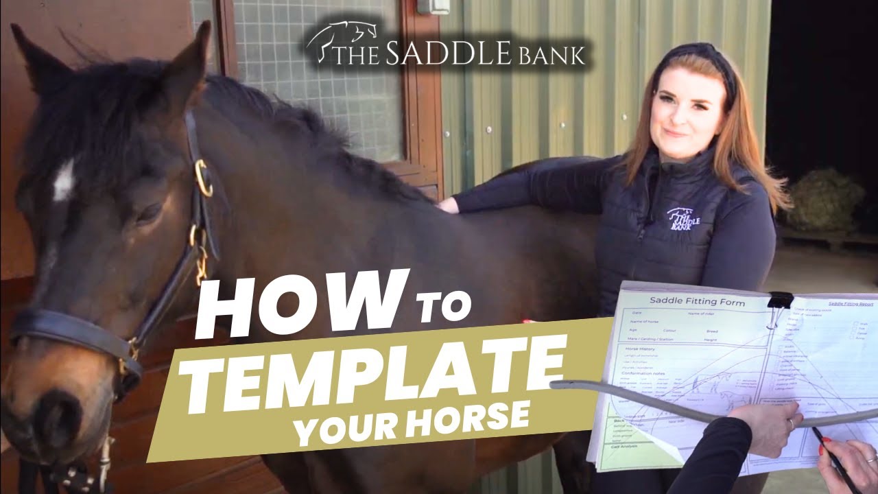 How to Measure Your Horse for a Saddle - 4 Simple Steps to Templating Your Horse!