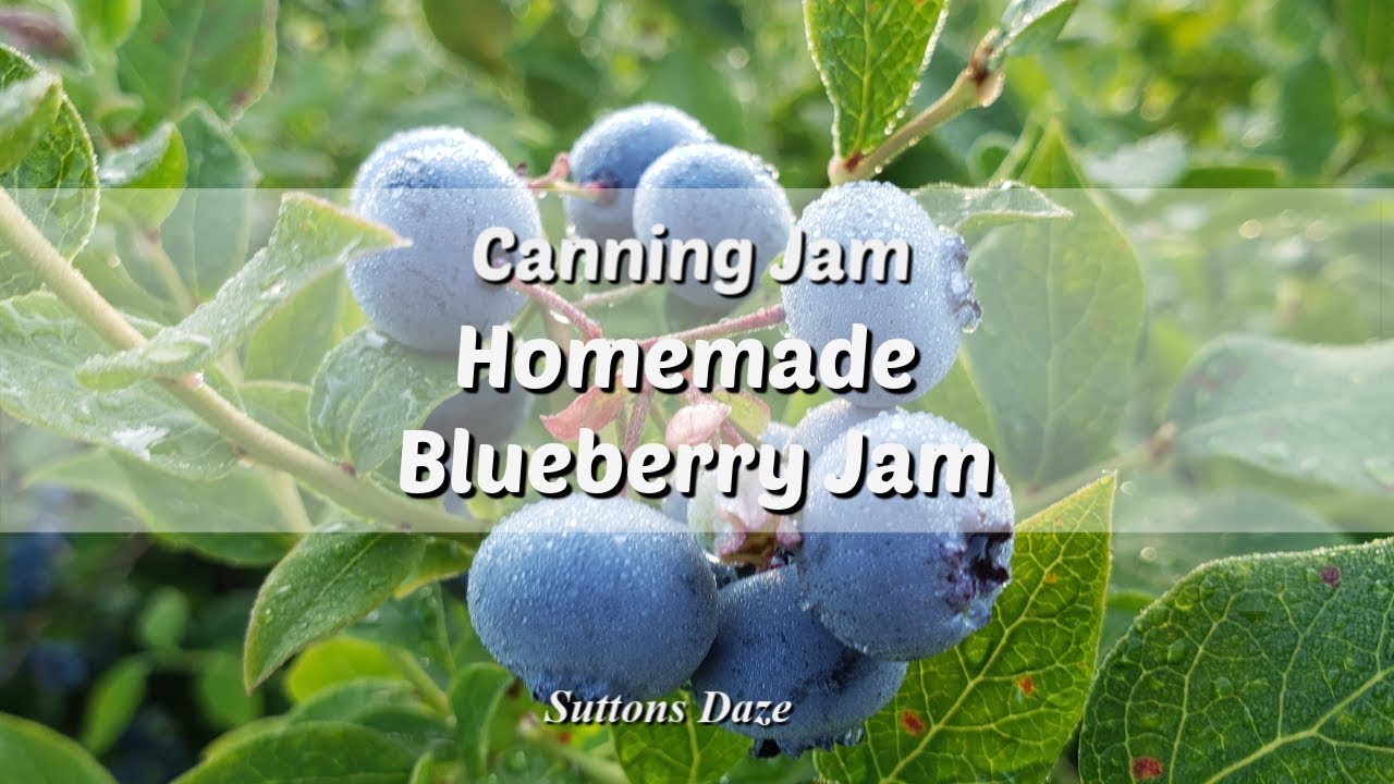 Canning Homemade Blueberry Jam