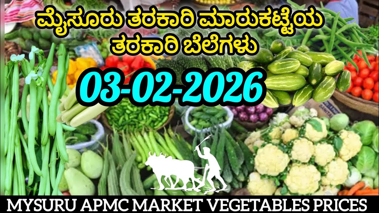 ಇಂದಿನ ||03/02/2026|| ಮೈಸೂರು ತರಕಾರಿ ಮಾರುಕಟ್ಟೆಯ ತರಕಾರಿ ದರ (ಪ್ರತಿ ಕೆಜಿಯ ದರ). 