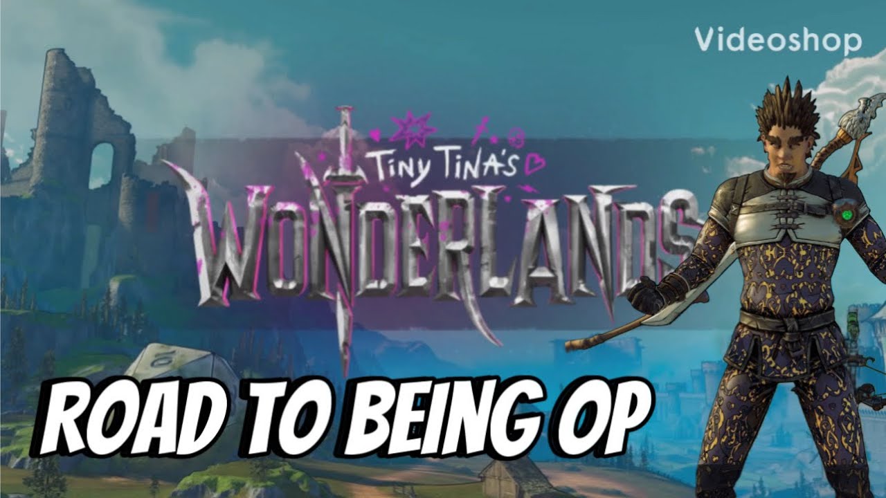 IS THIS THE BEST BERSERKER BUILD IN TINY TINA WONDERLANDS?
