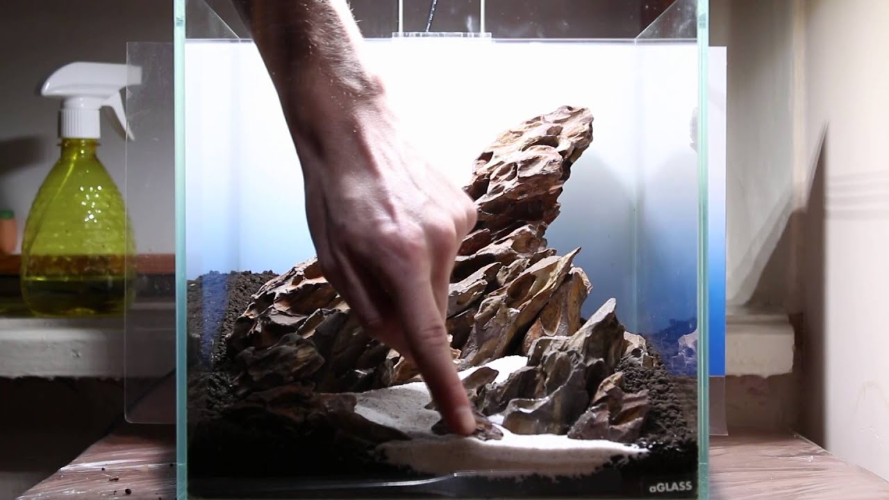 Aquascape - 