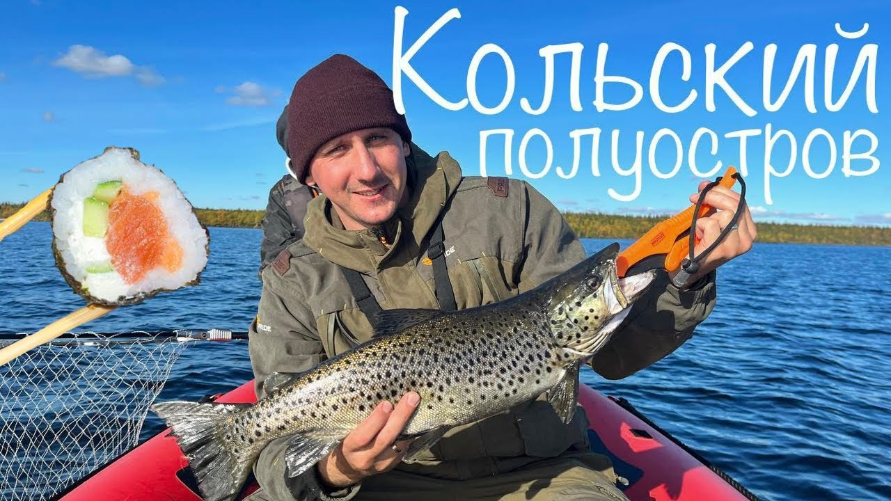 МЕЧТА СБЫЛАСЬ! ЛОВИМ КУМЖУ, КРУТИМ СУШИ! ОТЛИЧНАЯ РЫБАЛКА на Кольском 2025. Осень ч. 2