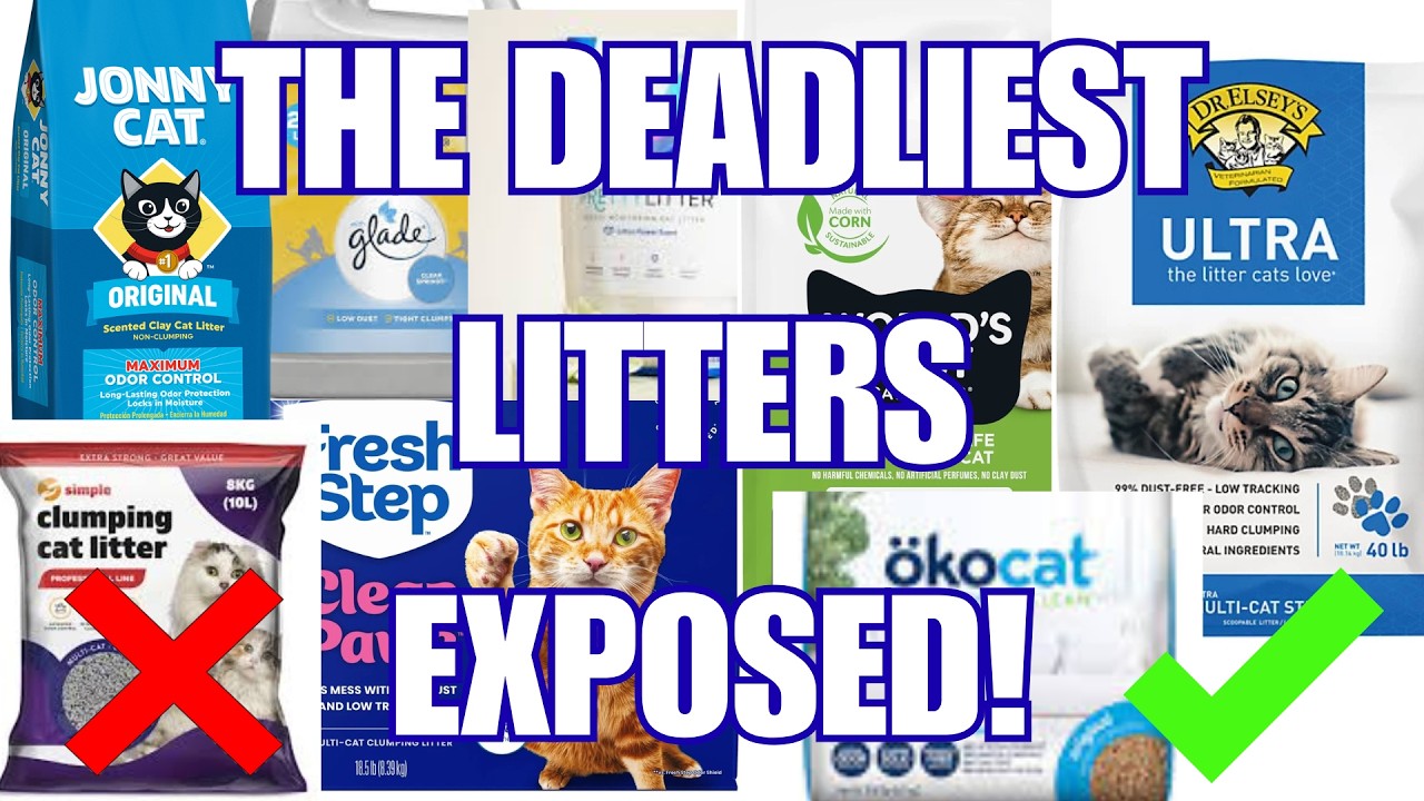 DON’T Use These 8 Cat Litters (And 4 That Are Actually Safe)