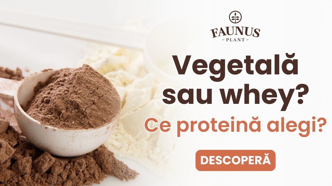 Proteina vegetală vs Whey: ce diferențe contează cu adevărat | Faunus Plant