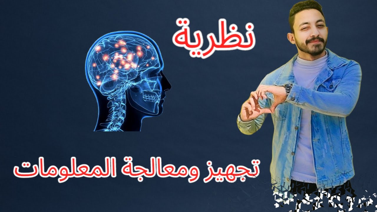 نظرية تجهيز ومعالجة المعلومات