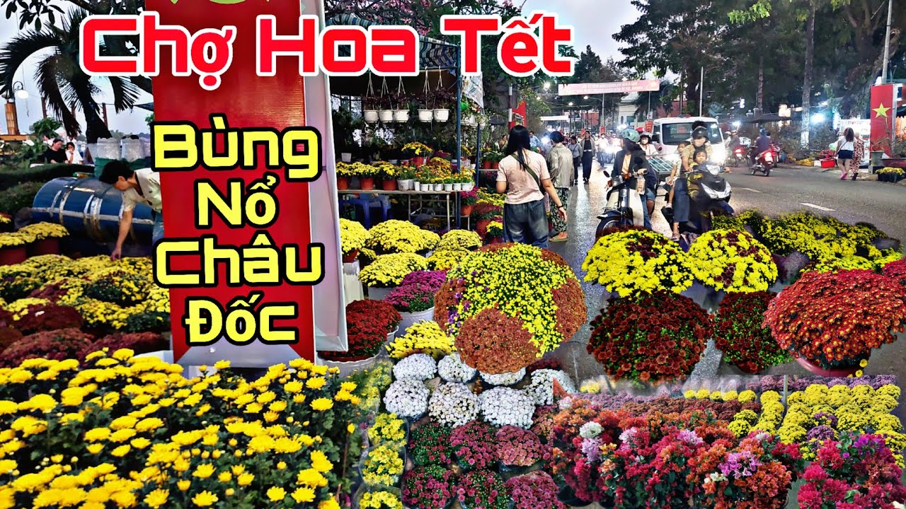 #Bùng Nổ Hoa tết 2026, Châu Đốc An Giang, Tưng Bừng Không Khí Tết