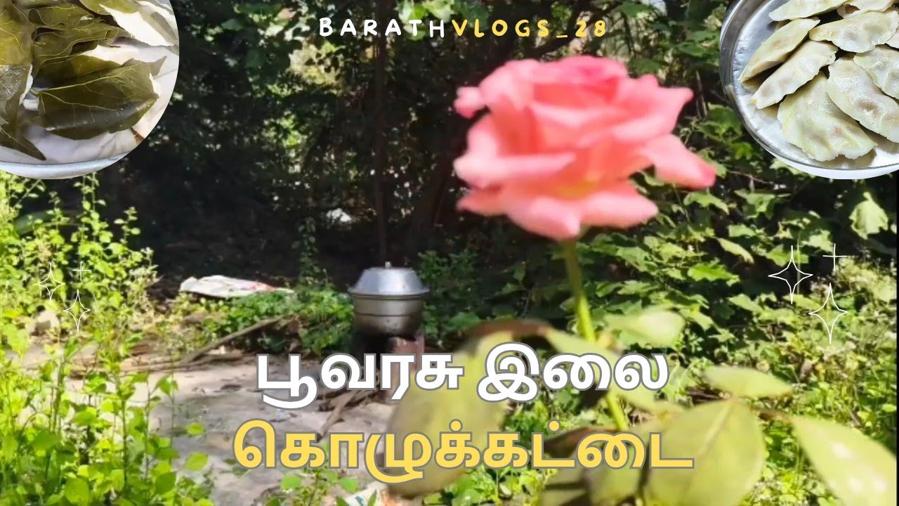 🍃 பூவரசு இலை கொழுக்கட்டை | பாரம்பரிய சுவையான கிராமிய சமையல் 🍚 | Barathvlogs_28