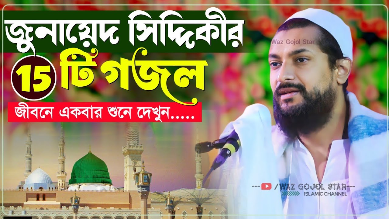 জুনায়েদ সিদ্দিকীর ভাইরাল ১৫টি গজল┇junaid siddiqui jalsa┇জুনায়েদ সিদ্দিকীওয়াজ┇junaid siddiqui naat