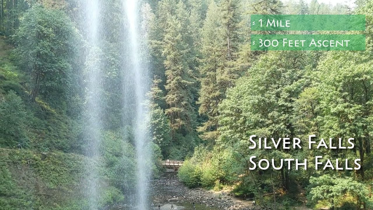 Silver Falls South Falls Guide | Silver Falls State Park, Oregon