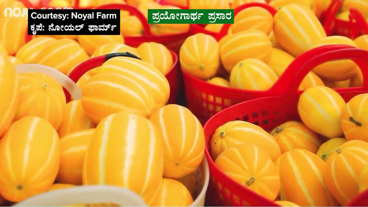 Shramajeevi TV Promo