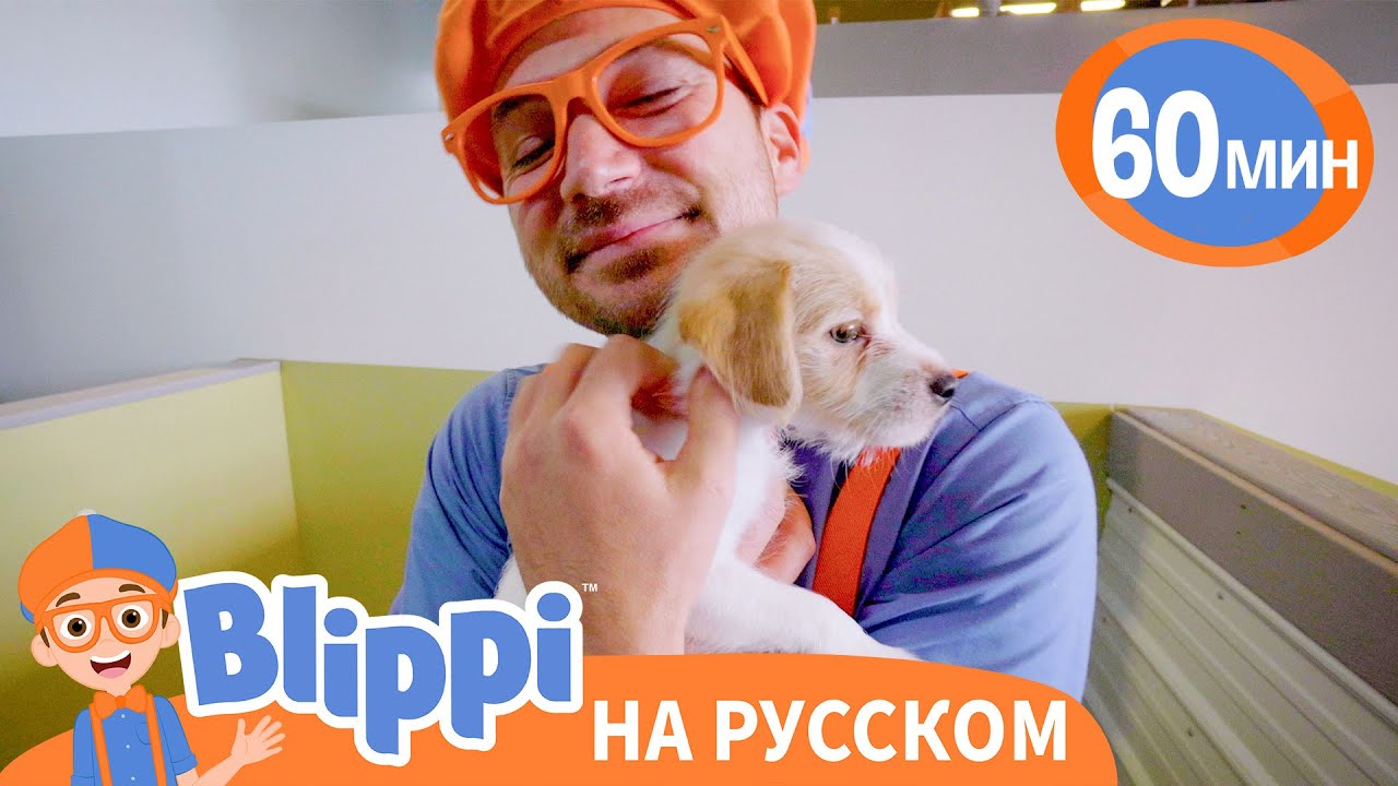 Песня 