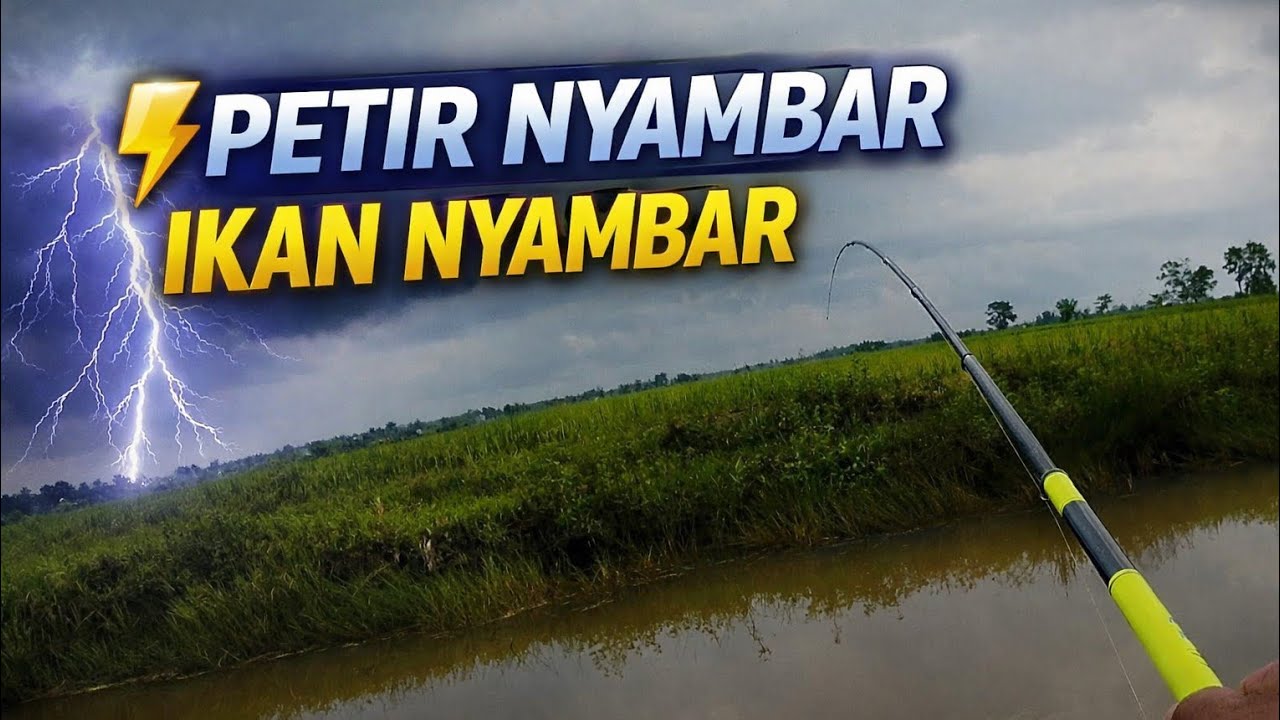 Petir Datang, Ikan Tetap Makan