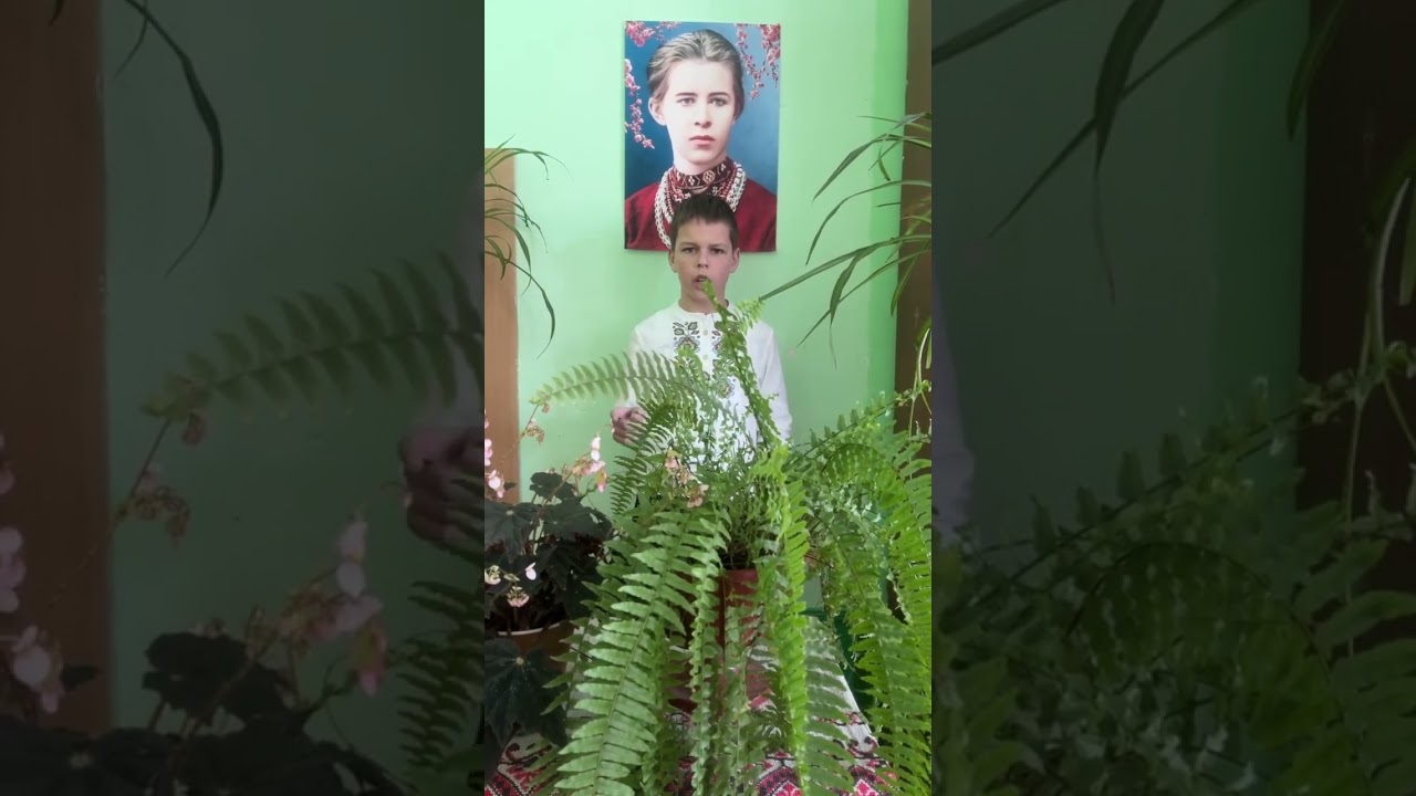 Поезію Лесі Українки «Казка про Оха-чародія» декламує Нюкало Ярослав