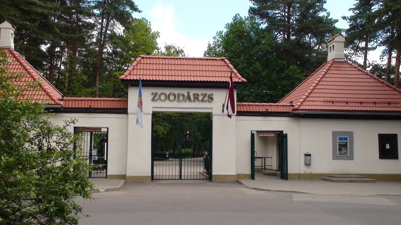 RiGA Zoo 2013 Рижский зоопарк часть 1