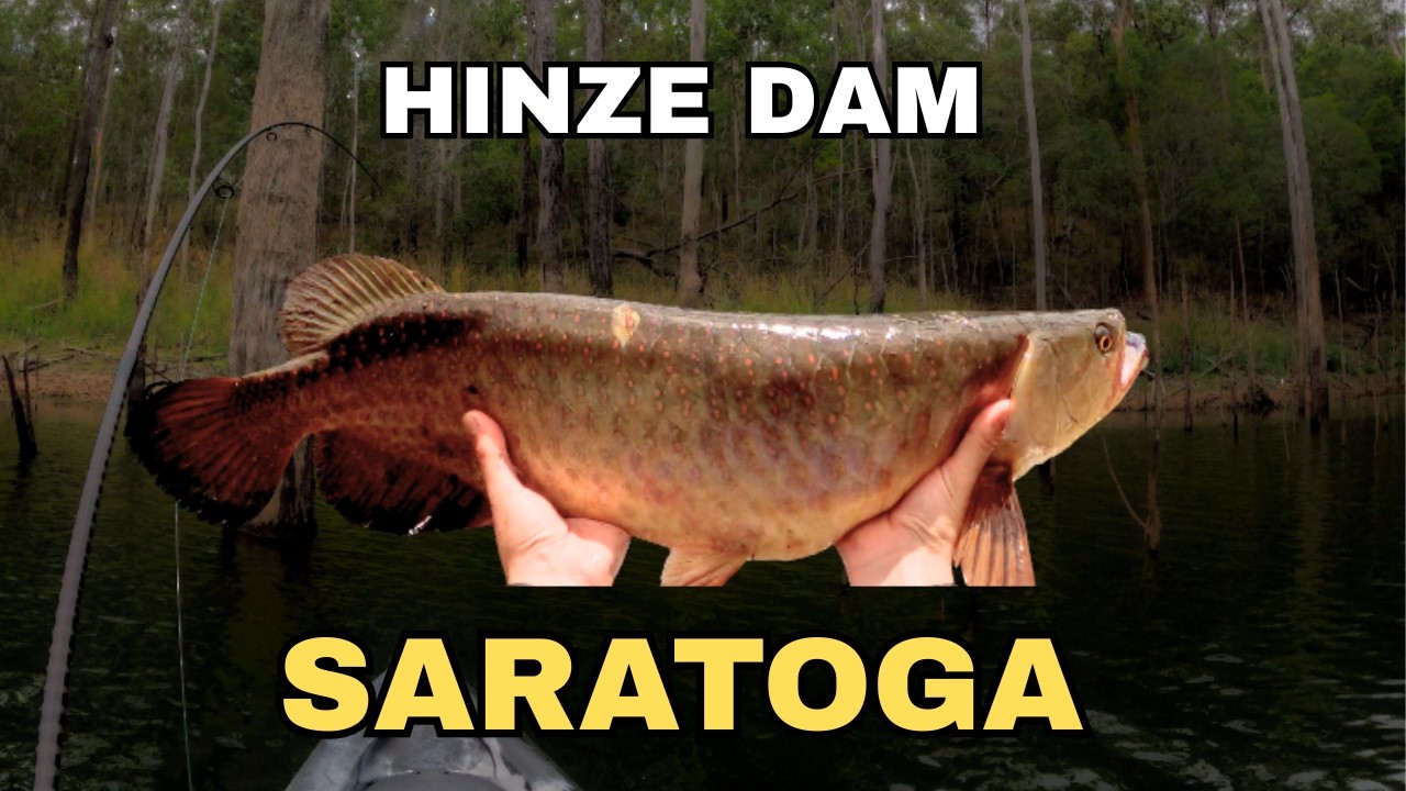 Prehistoric TOPWATER Predators at Hinze Dam