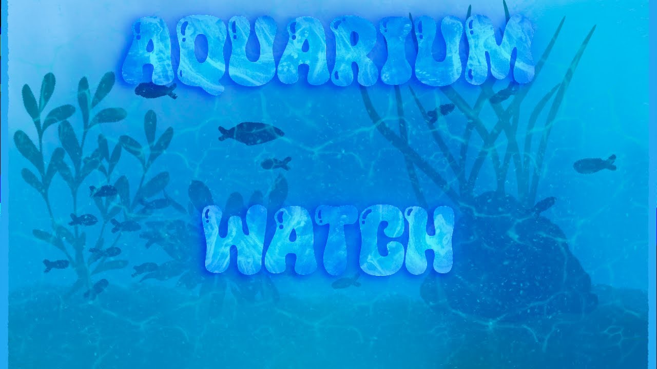🔴 LIVE. RGB Day & Night for Office - Sleep. Freshwater Aquarium — Calm, Natural, Real-Time