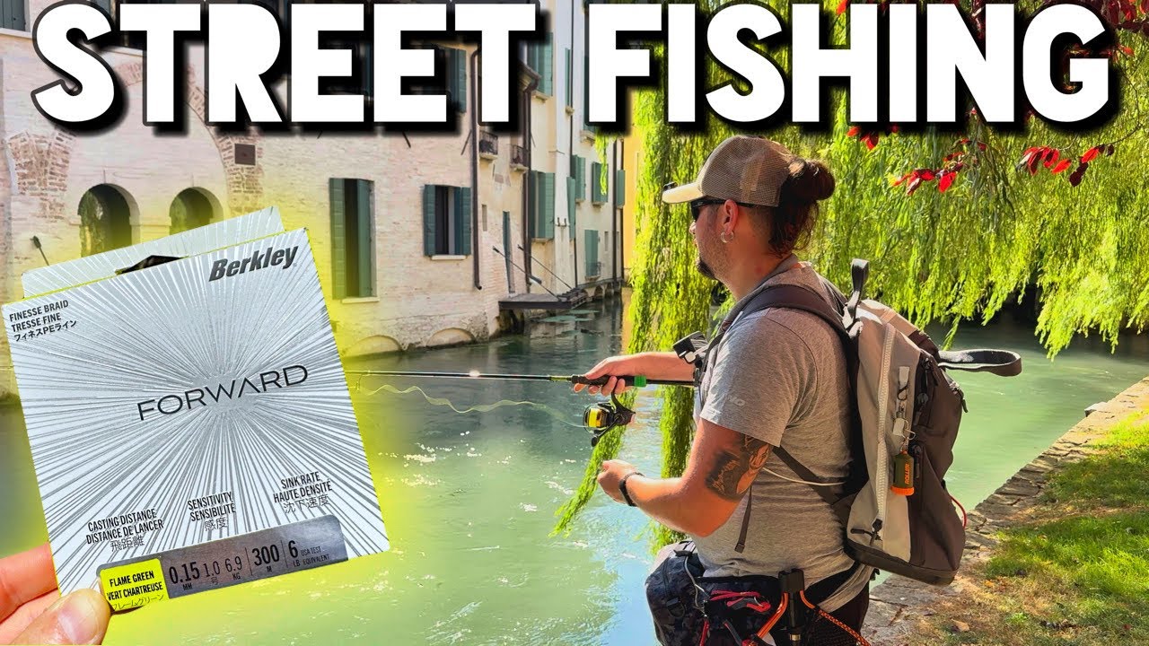 STREET FISHING a TREVISO | Trote a Spinning con il nuovo BERKLEY FORWARD
