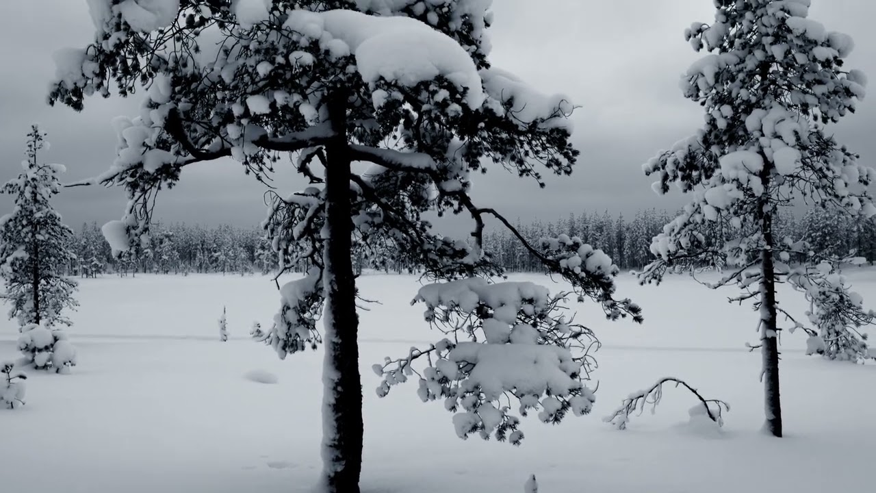 Branäs, Sweeden - cross-country skiing