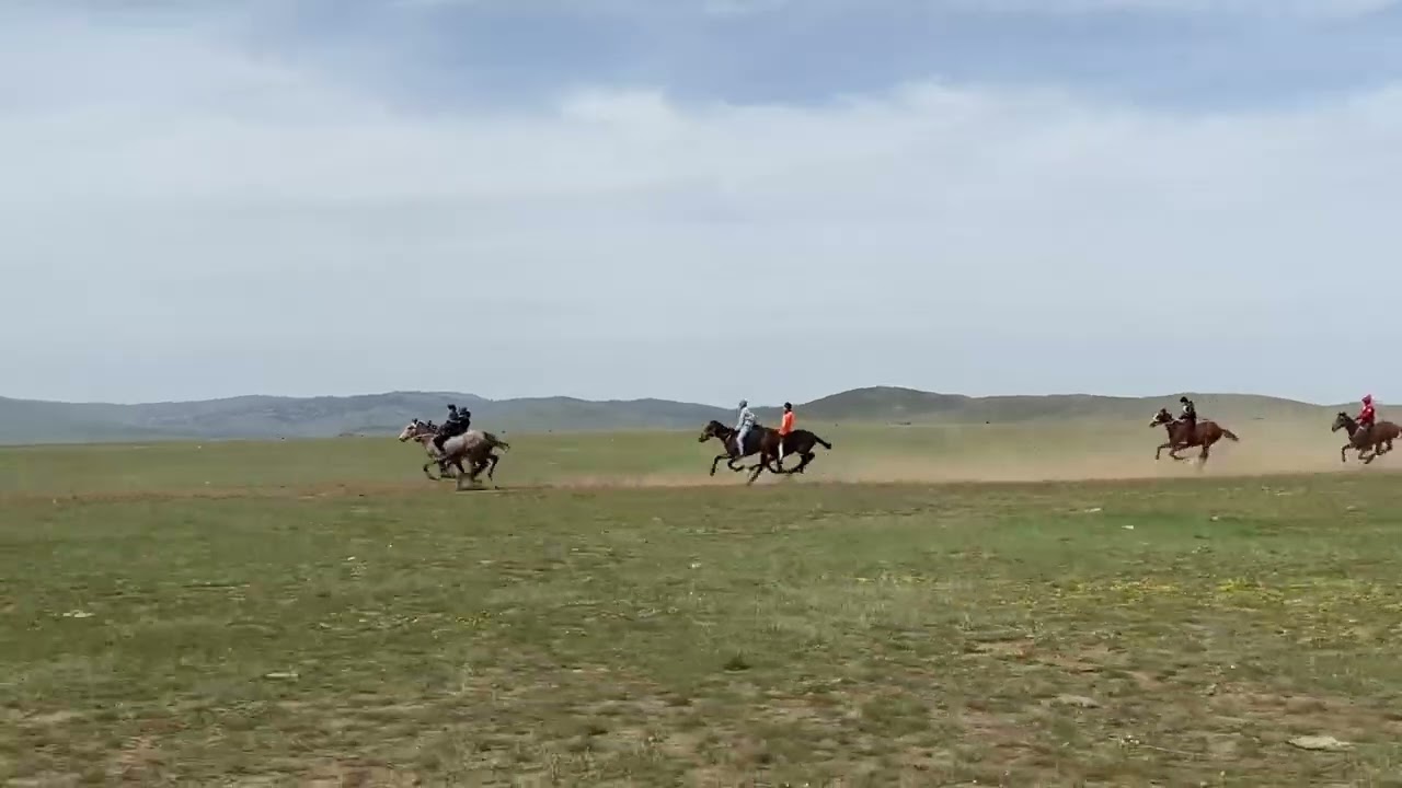 Аппаз ауылы 2022 жыл Асыл қанды тай бәйге!