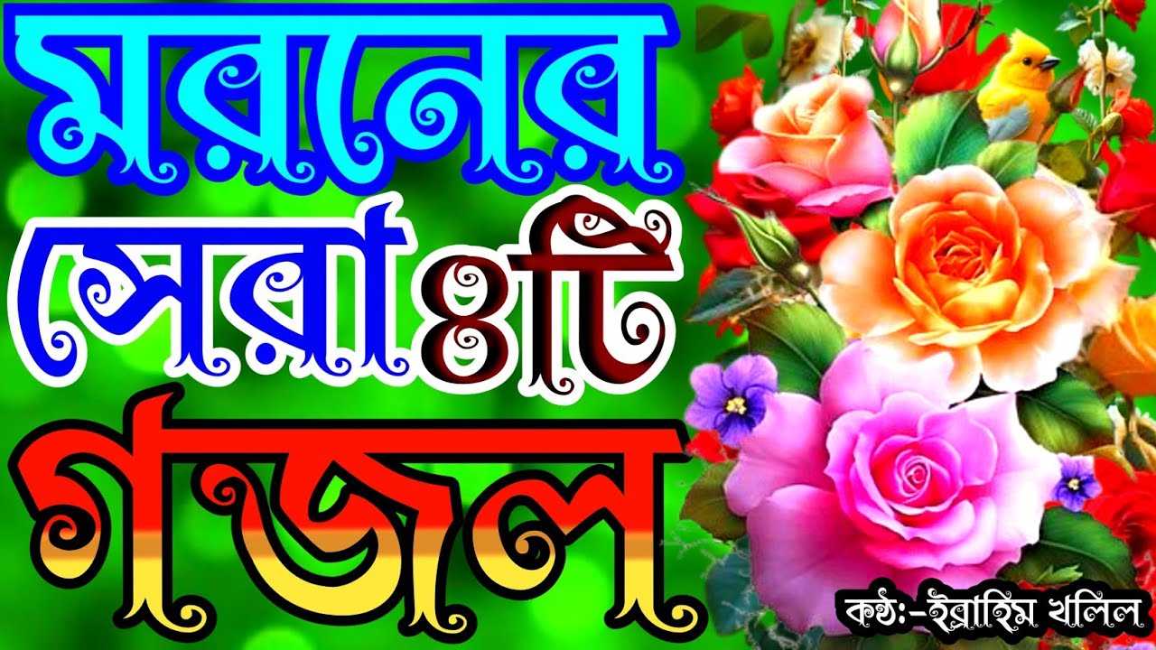এই বছরের সেরা বাছাইকৃত ৫টি গজল | gojol | new gojol | বাংলা গজল | new islamic song | gojal | gozol