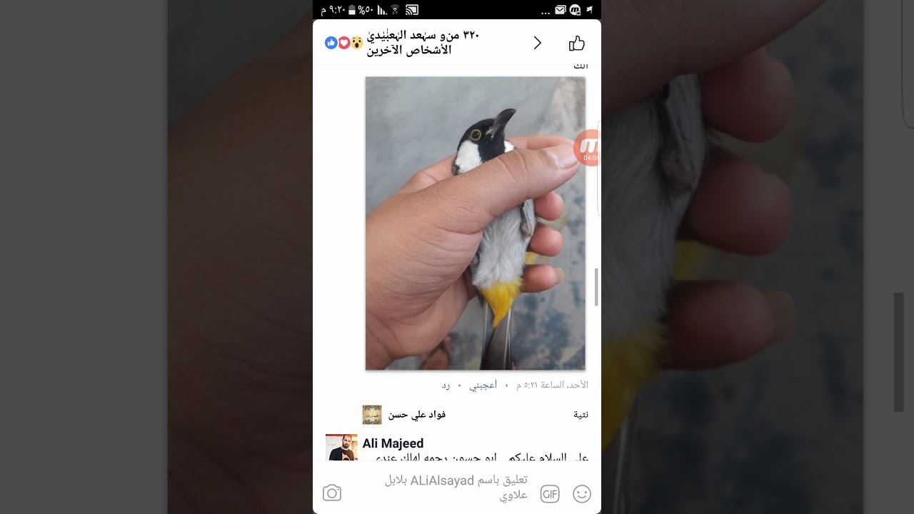 سؤال وجواب ومستمرين أن شاء الله بهل الفقره