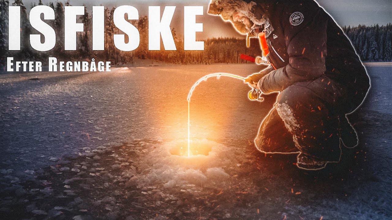 Pimpelfiske På Första Isen - Regnbågsfiske