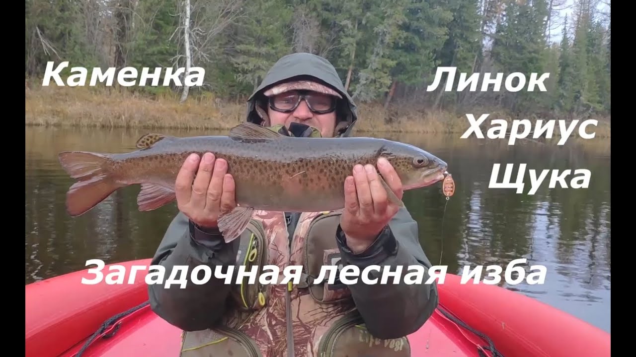 Каменка 2020 ч3 Загадочная изба с берлогой