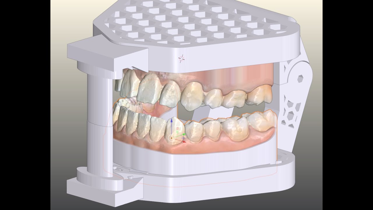 B4D Dental Modules